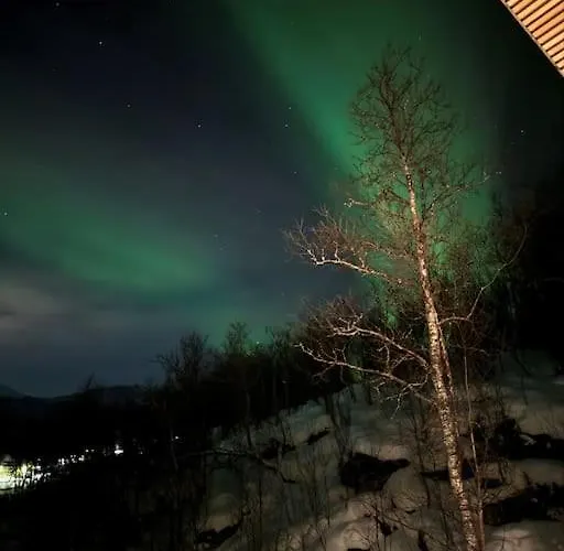 Nybygget Arkitekt Tegnet Snohetta I Vakker